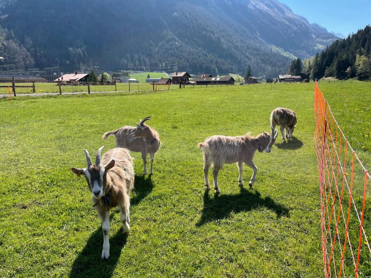 Schlafen Im Fass - Schlaffass - Abenteuer - Romantik - Haslifass Villa Innertkirchen Exterior foto